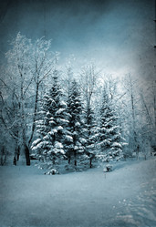 Similar image 490308