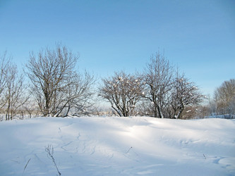 Similar image 490350