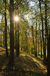 Similar image 490363