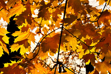 Similar image 490365