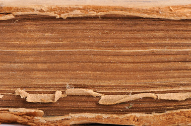 Similar image 490391