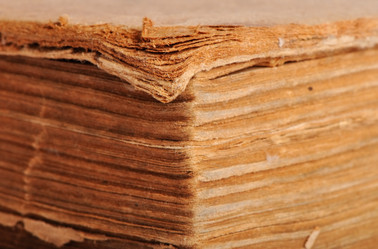 Similar image 490390