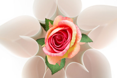 Similar image 490404