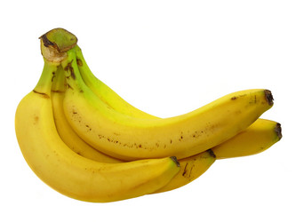 Similar image 490432