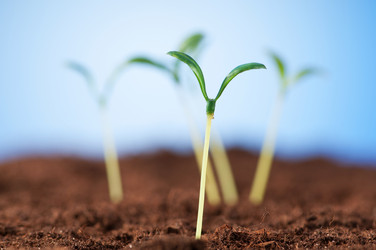 Similar image 490446