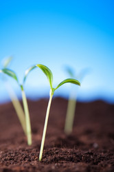 Similar image 490447