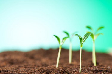 Similar image 490448