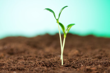 Similar image 490449