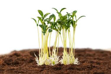 Similar image 490454