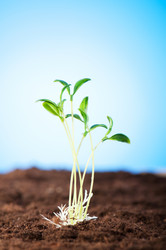 Similar image 490456