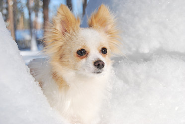 Similar image 490498