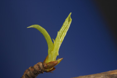 Similar image 490526