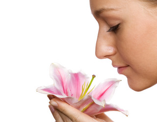 Similar image 490660