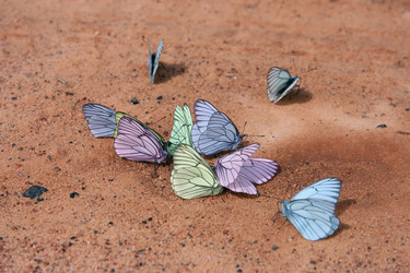 Similar image 490667