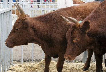 Similar image 490887