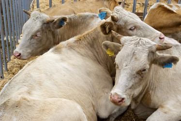 Similar image 490888