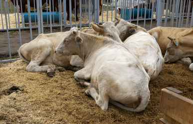 Similar image 490898