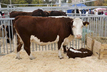 Similar image 490901