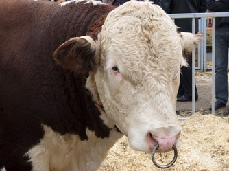 Similar image 490910