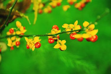 Similar image 490912