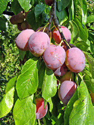 Similar image 490941