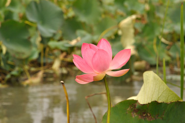 Similar image 490987