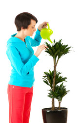 Similar image 491036