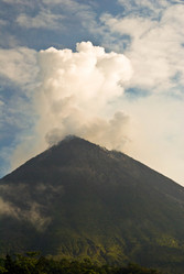 Similar image 491053