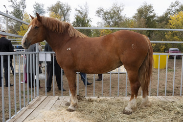 Similar image 491057