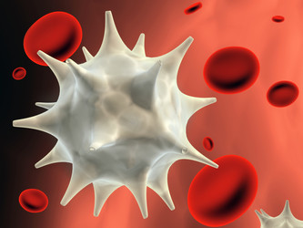 Similar image 491114