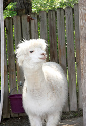 Similar image 491184