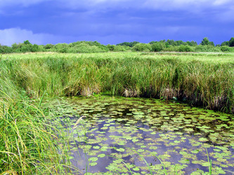 Similar image 491203