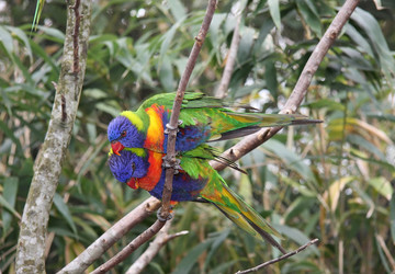 Similar image 491206