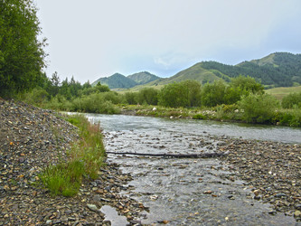 Similar image 491229