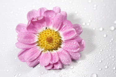 Similar image 491233