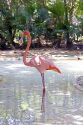 Similar image 491236