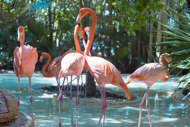 Similar image 491237