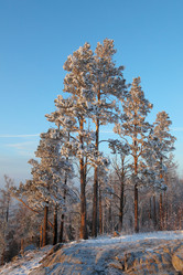 Similar image 491266