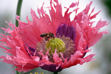 Similar image 491275