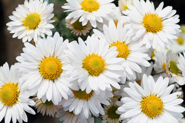 Similar image 491287