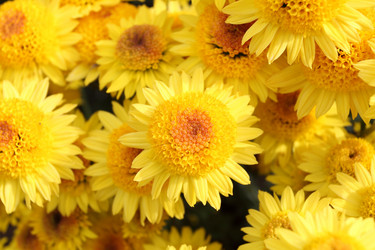 Similar image 491289