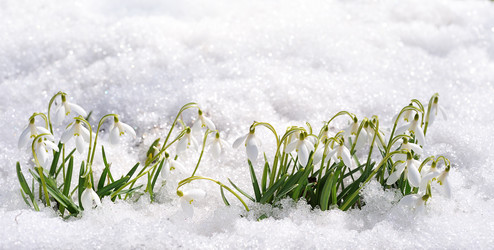 Similar image 491297