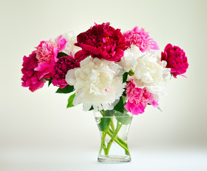 Similar image 491303