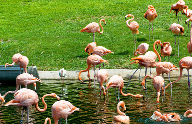 Similar image 491312