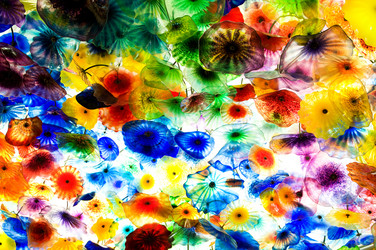 Similar image 491314