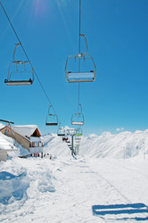 Similar image 491321