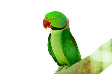 Similar image 491366