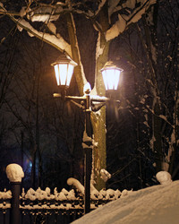 Similar image 491423