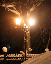 Similar image 491426