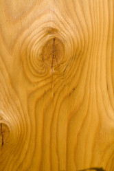 Similar image 491468